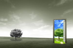 11568818 - door open on green field for environmental concept and idea